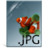 Jpg Icon